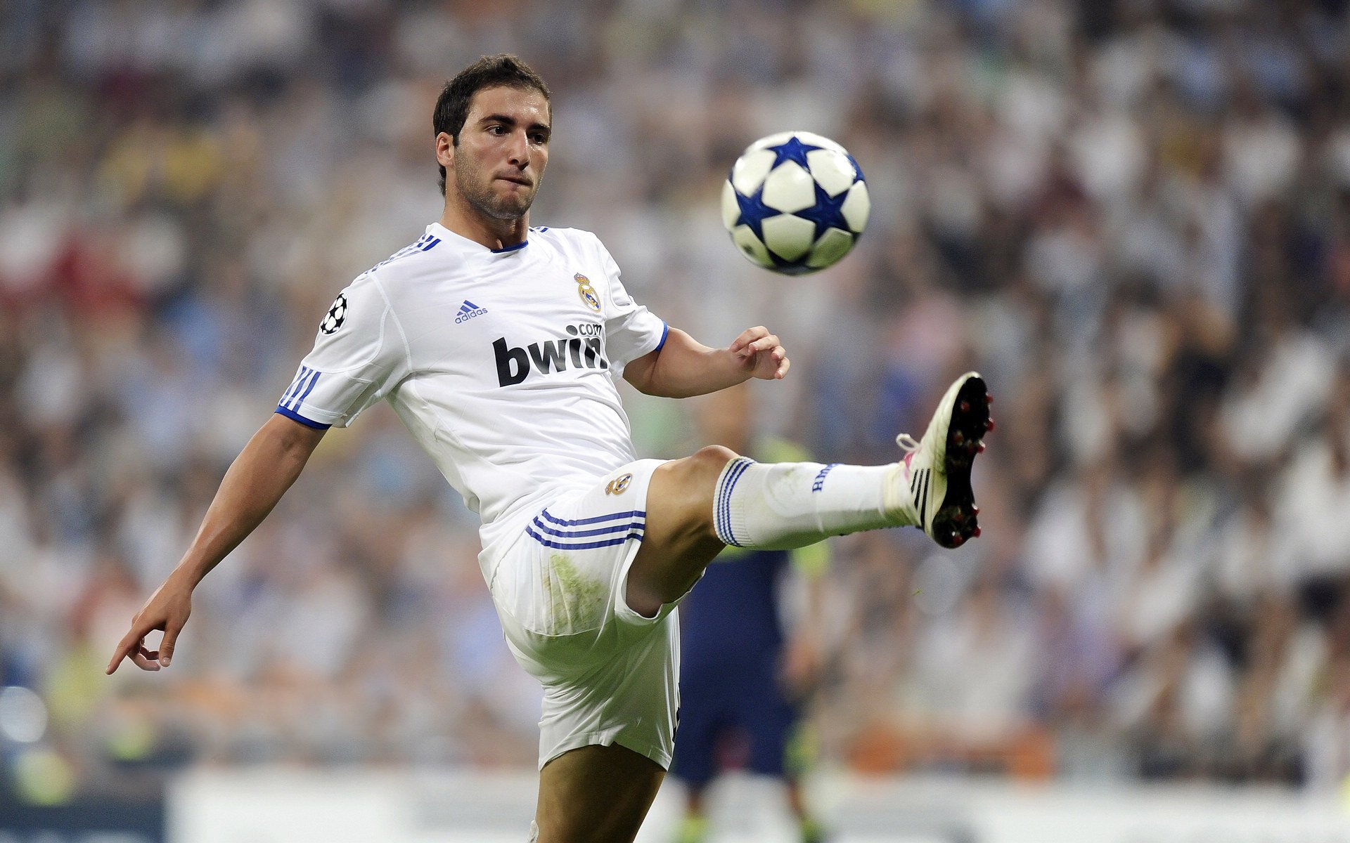 Kaiyun官方登录入口-勒沃库森中场核心回归，勒沃库森队