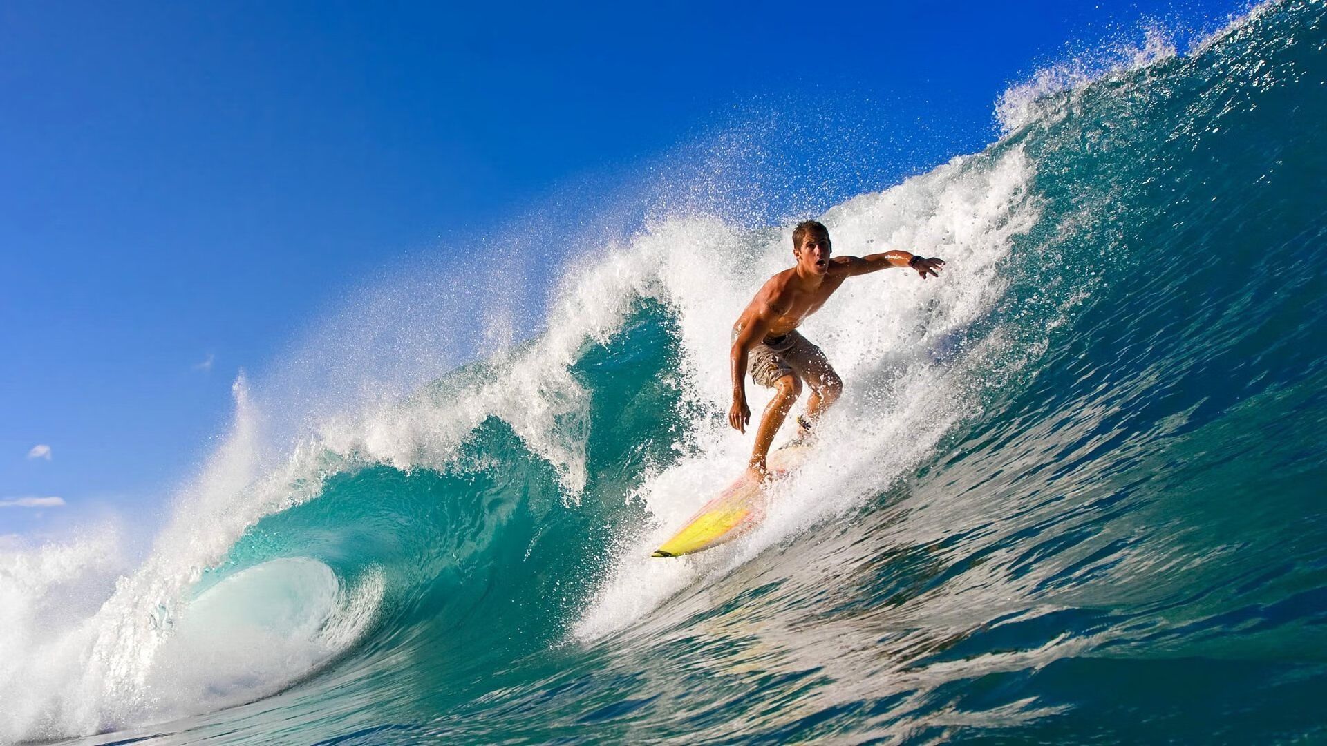 开云官网APP下载-世界杯究极技：盘带过人令人屏息，世界杯捧杯时刻